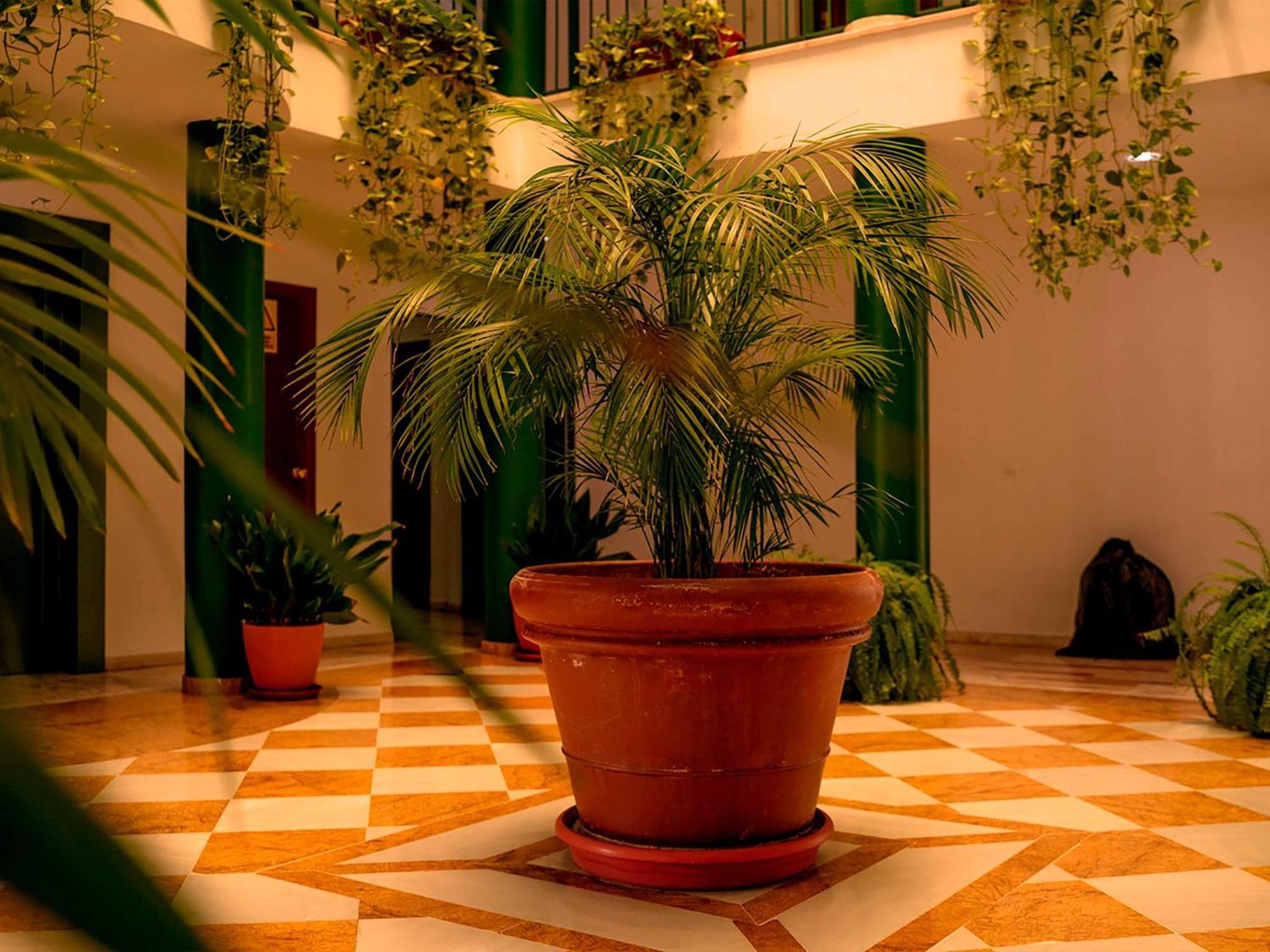 Apartamentos Vertice Bib Rambla Sevilla Exteriér fotografie
